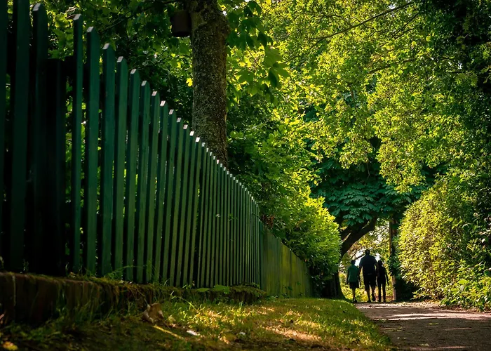 Апартаменты Sellin Шпикерог