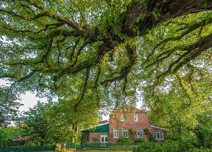 Sellin Апартаменты *